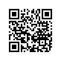 12951-91J00 CAM,DECOMP