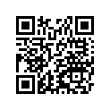 13008-1217 RING-SET-PISTON