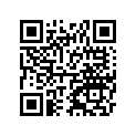 13008-S003 RING-SET-PISTON