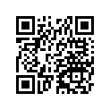 130080011 Ring-set-piston