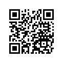 130080033 Ring-set-piston