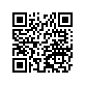130080049 Ring-set-piston