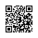 130080556 Ring-set-piston