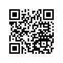 130081200 Ring-set-piston