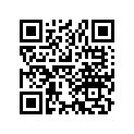13010-887-000 RINGSET(STD)
