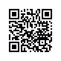 13010-ZG9-T00 SSBY-11-13010-ZG9-003-RINGSET(STD)