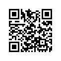 13010-ZG9-T01 SSBY-11-13010-ZG9-003-RINGSET(STD)