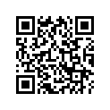 13011-KZ3-306 Кольца поршневые (компл.)