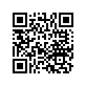 13011-ZG9-004 SSBY-11-13011-ZG9-003-RINGSET(0.25)