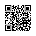13011-ZY3-A00 RINGSET(0.25)