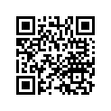13012-GB5-305 Кольца поршневые 0.25