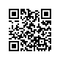 13012-ZE1-014 SSBY-11-13012-ZE1-013-RINGSET(0.50)