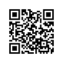 13012-ZG9-004 RINGSET(0.50)