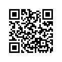 13013-MS6-305 Кольца поршневые (комплект)