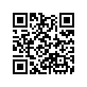 13013-MW3-670 Кольца поршневые (комплект)