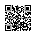 13013-ZG9-T00 SSBY-11-13013-ZG9-003-RINGSET(0.75)