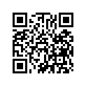 13021-391-004 RING,PISTON(0.25)