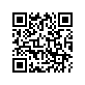 13021-MN1-305 Кольца поршневые компл. 0.25
