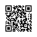 130240009 Ring-set-piston Ll, O/ (option)