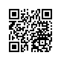 130256008 Ring-set-piston L, .50