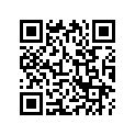 13031-HM8-003 RING SET (O.S. 0.50)
