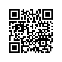 13031-KN4-A61 RING SET (0.50)