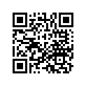 13031-MV9-305 Комплект колец