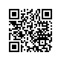 13031425004 RING,PISTON 0.50