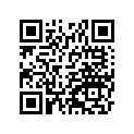 13033035