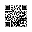 130331062 Bearing-small End