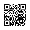 13041-0045 BALANCER,RR