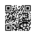 13041-1069 BALANCER