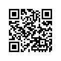 13041-1105 BALANCER