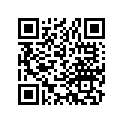 13041-413-025 Ring set (os) (0.75)