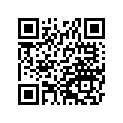 130410028 Balancer