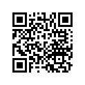 13051-HM8-003 RING SET (O.S. 1.00)
