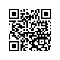 13078-S001 Ratchet, Kick