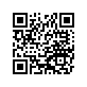 13101-5086 ギヤアツシ,ベベル,RR