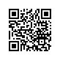 13101-887-003 PISTON(STD)