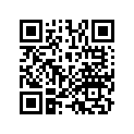 13101-HN2-010 Поршень