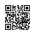 13101-MKF-D40 PISTON