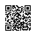 13101-ZW5-000 SSBY-11-13101-ZW5-010-PISTON