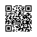 13101KR3013 Поршень