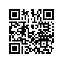13101MBN670 Поршень