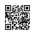 13102-036-010 PISTON