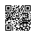 13102-890-010 PISTON(0.25)