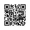 13102-GEL-700 PISTON,OS 0.25