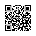 13102-HM8-306 PISTON (O.S. 0.25)