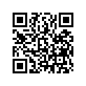 13102-KGF-910 PISTON,OS 0.25/ 0