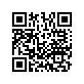 13102-KYY-900 Piston (0.25)